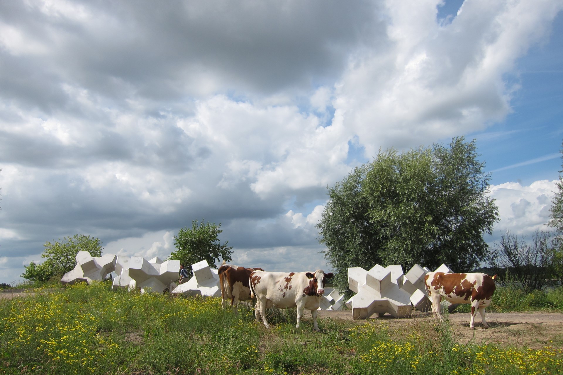 breakwater block installation
